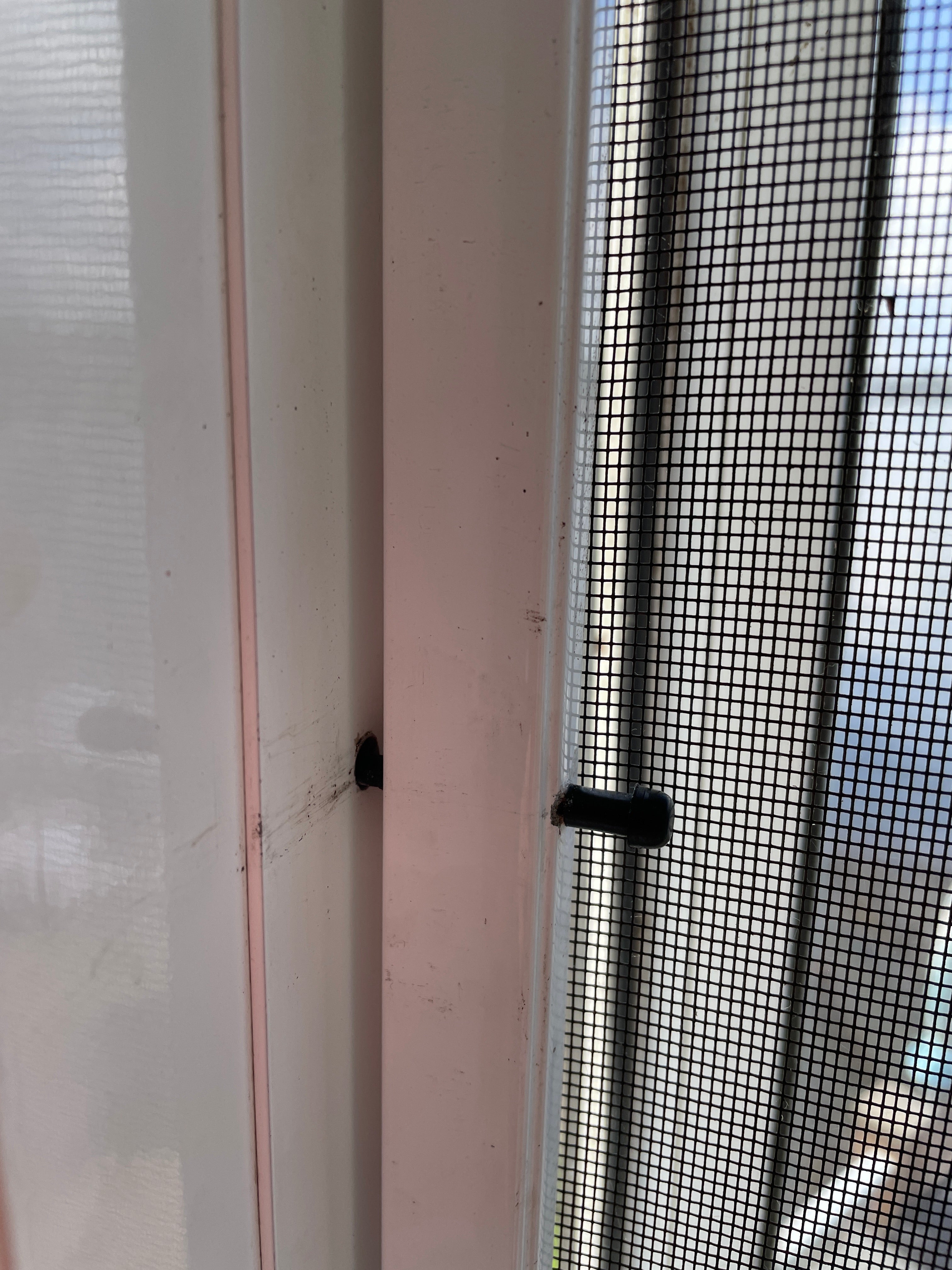 Flyscreen Plunger Pin Spring Loaded bag 10 Mr Windows AU